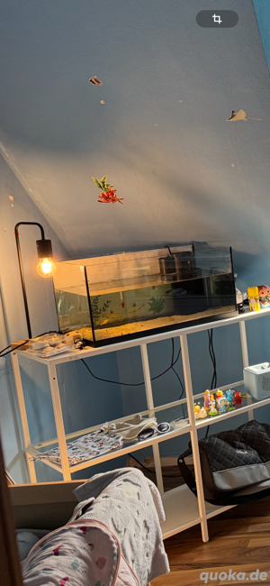 Aqarium mit zubehör Dringend