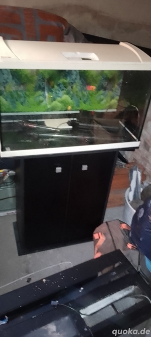 Aquarium.