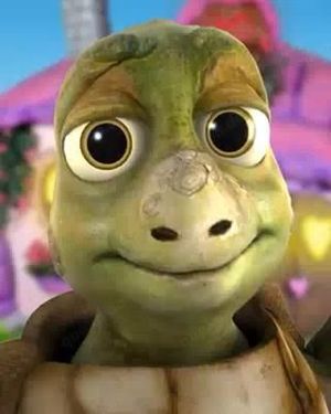 Wasserschildkröte gesucht