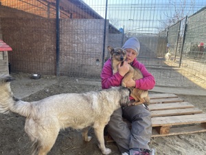 kleine Missy - wo ist mein Zuhause Bild 9