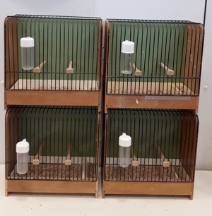 Wursterkäfige  -  Ausstellungskäfige für Kanarienvögel