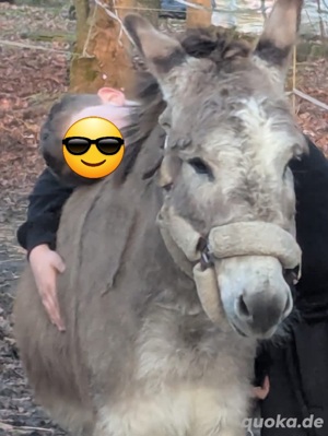 Verkaufe  Tausche