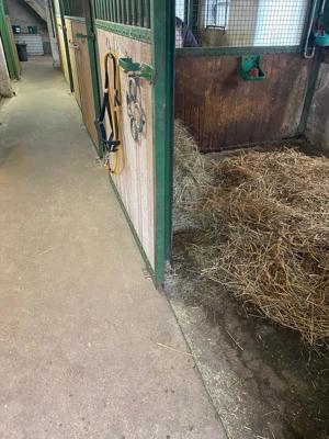 Paddockbox frei