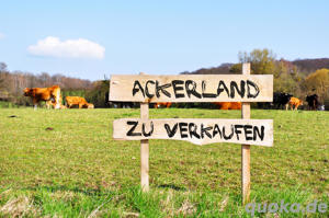 Ackerland Acker Grundstück zu verkaufen 