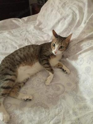 Gesellige Zuna (ALO) Bild 5