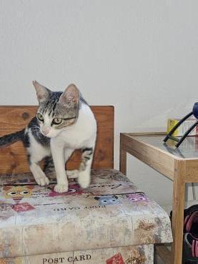 Brian und Maya (ALO) Bild 2