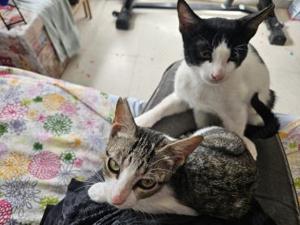 Brian und Maya (ALO) Bild 4