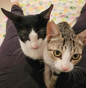 Brian und Maya (ALO) Bild 3