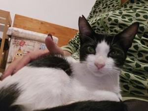 Brian und Maya (ALO) Bild 5