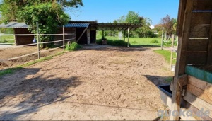 Offenstall ab Mai in 67105 Schifferstadt frei