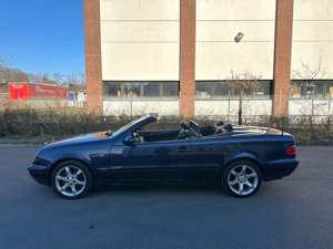 Mercedes-Benz CLK 200 Cabrio Automatik Sport Edition Bild 3