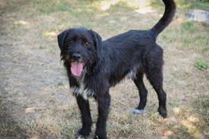 *YUNO* Ich bin lieb und zugänglich, neugierig und verspielt