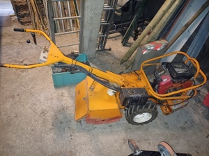 Umkehrfrässe Barretto 