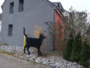 Reihenhaus in Peine zu Verkaufen Bild 2