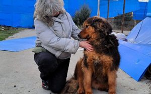 Neelix wartet schon so lange Bild 2