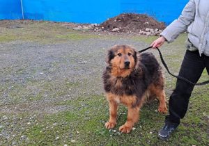 Neelix wartet schon so lange Bild 4