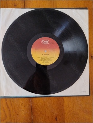 Peter Green--In The Skies, Vinyl-LP, P1979, Gatefold, GER Bild 8