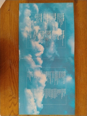 Peter Green--In The Skies, Vinyl-LP, P1979, Gatefold, GER Bild 3