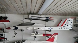 Xcalibur im Thunderbird Design mit JetCat P 100 RX Bild 4