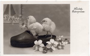 (0015) Alte AK Ostergrüße