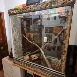 Terrarium mit oder ohne Unterschrank
