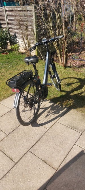 E Bike Trekking Damen 