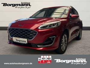 Ford Kuga Vignale PHEV Leder - SHZ - PDC - elekt.Sitze
