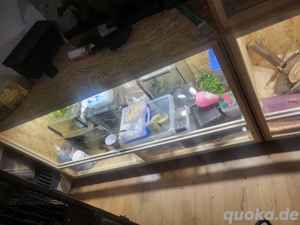 Großes terrarium zu verkaufen 