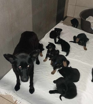 *SONJA* Die Liebe wird auf ein Leben in der eigenen Familie vorbereitet