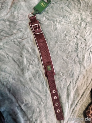 Hundehalsband von Hunter neu 
