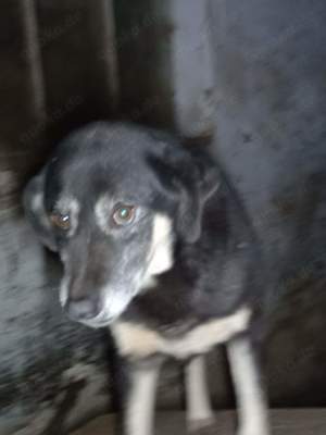 Peter Pan - bist du sein Mensch? Bild 2