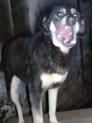 Peter Pan - bist du sein Mensch? Bild 5