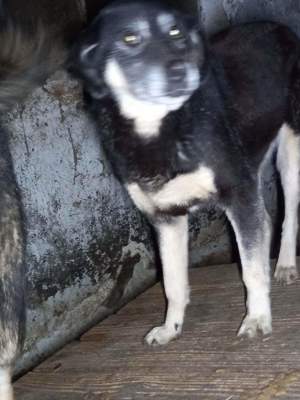 Peter Pan - bist du sein Mensch? Bild 6