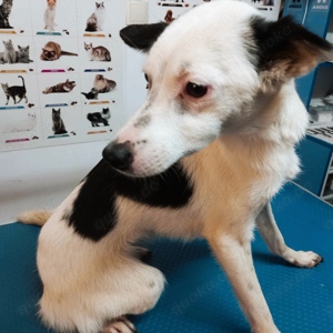 Palina - was fehlt bist du Bild 5