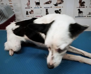 Palina - was fehlt bist du Bild 6