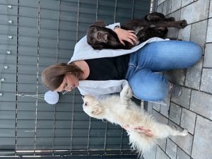 Du suchst eine Hundetrainer*in? Willkommen in der Hundeschule DogMa!