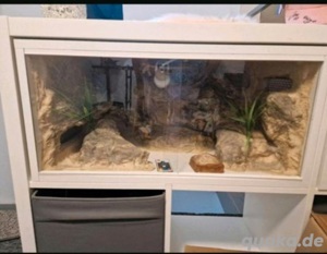 Terrarien für Kallax Regal
