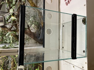 Verschiedene Glasterrarien. 