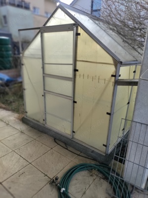 verschenken Pflanzen für den Garten kaufen Kleinanzeigen