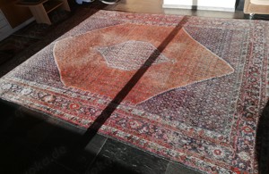 Orientteppich Bidjar, handgeknüpft, Einzelstück