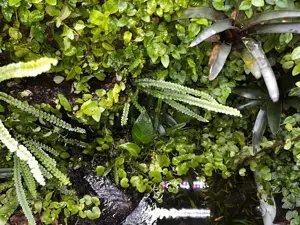 Paludarium Terrarium Wasserfall XXL 