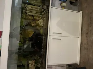 Schönes eingelaufen Aquarium 
