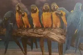 PUZZLE incl, Rahmen zu verkaufen 