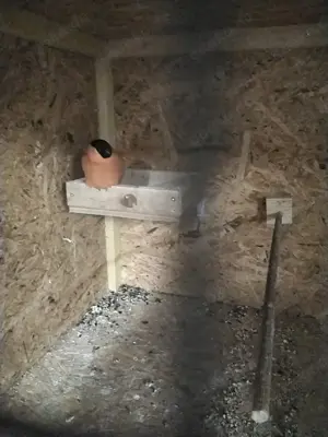 Nord.Dompfaffen von 2024