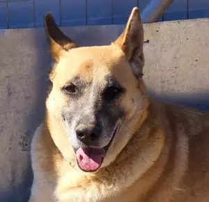 Cance hat eine Chance verdient