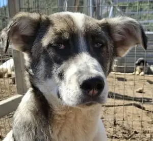 Jessy ist ein lustiger Zwerg 