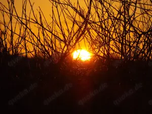 Überirdisches * Paranormales * Besetzungen * Fremdenergie