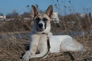 Bruno, geb. 01 2024, Rohdiamant, der leuchten möchte 