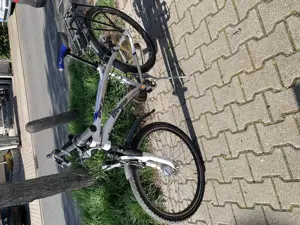 Marken-Jugendrad Winora 24 Zoll, silber-weiss-blau