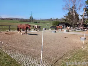 Pferdebox mit Paddock im Selbstversorgerstall